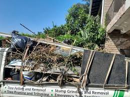 Best Same-Day Junk Removal Services  in New Castle, CO